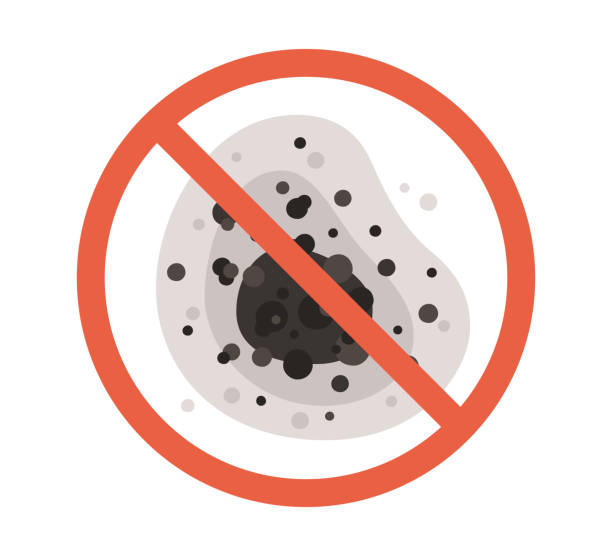 Best HVAC Mold Inspection and Cleaning  in Wallington, NJ