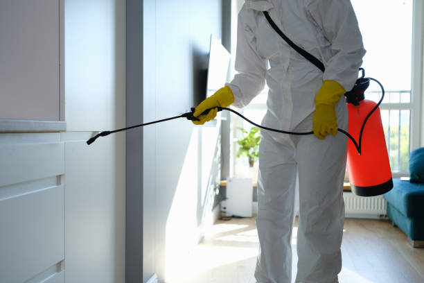 Best Crawl Space Mold Remediation  in Wallington, NJ