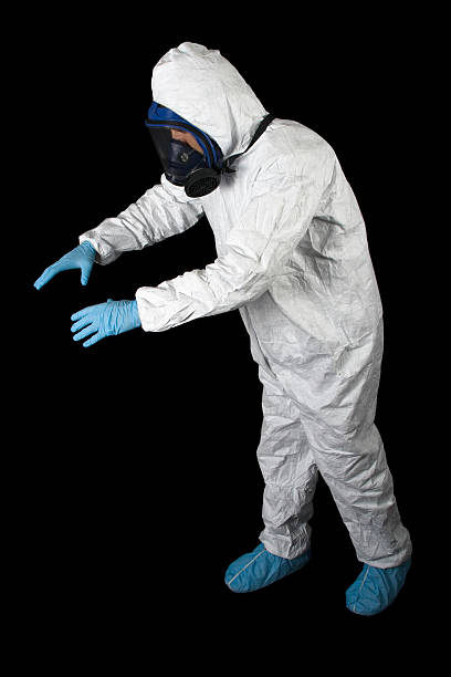 Professional Mold Removal in Wallington, NJ