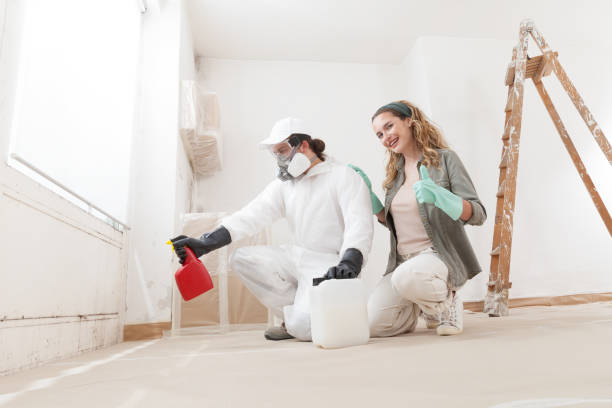 Best Black Mold Removal  in Wallington, NJ
